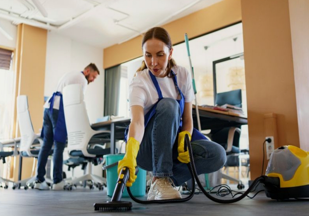 Dickinson house cleaning
